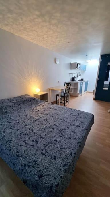 Studio En Rez De Jardin Avec Terrasse Privee - Le Petit Chateau Avesnois - Tv - Wifi - Logement Complet Avesnes-sur-Helpe المظهر الخارجي الصورة
